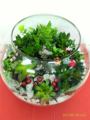 編號:E0006----喜上花園玻璃屋祝賀盆景-15吋